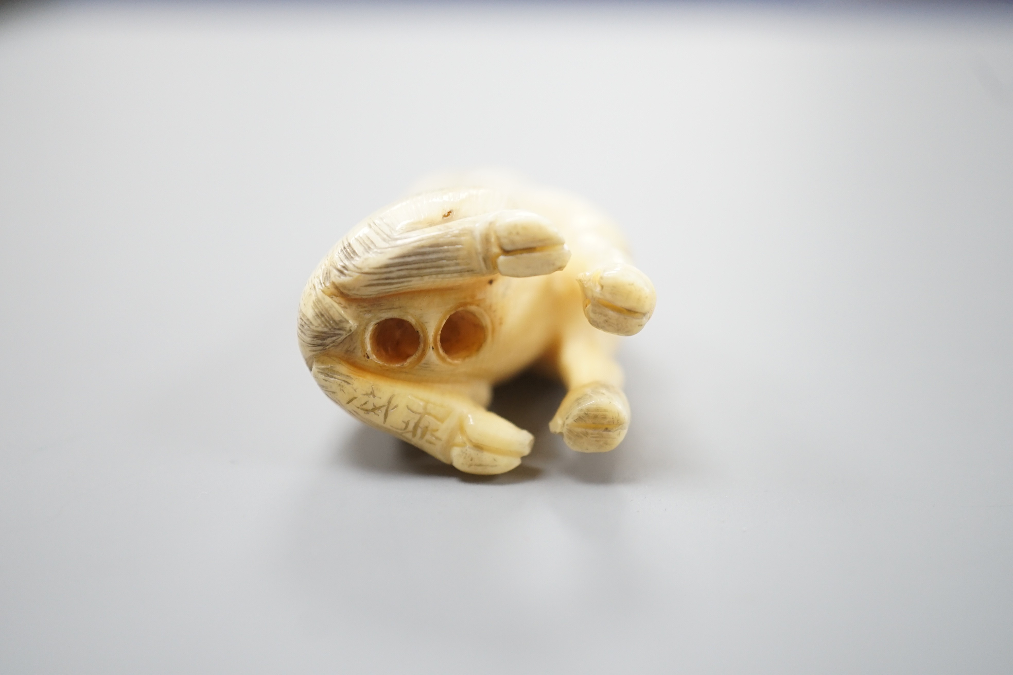 A Japanese ivory netsuke of a seated bellowing deer, 19th century, bears signature, 5.8cm